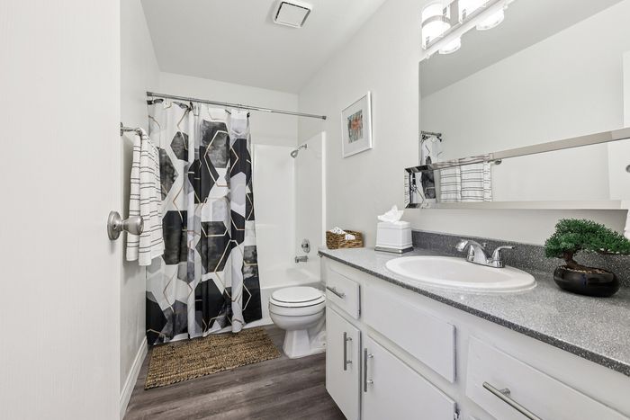Contemporary bathroom with sleek grey countertop, elegant vanity, artistic shower curtain, and polished wood-style flooring.