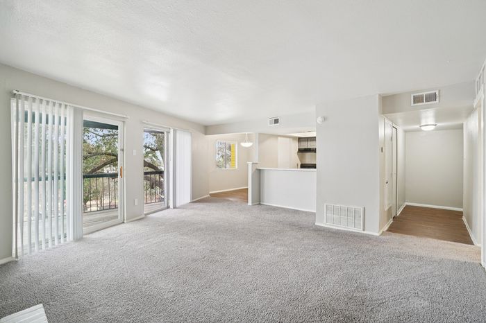 Bright and spacious apartment living area with large windows, plush carpeting, modern kitchen, and balcony access.