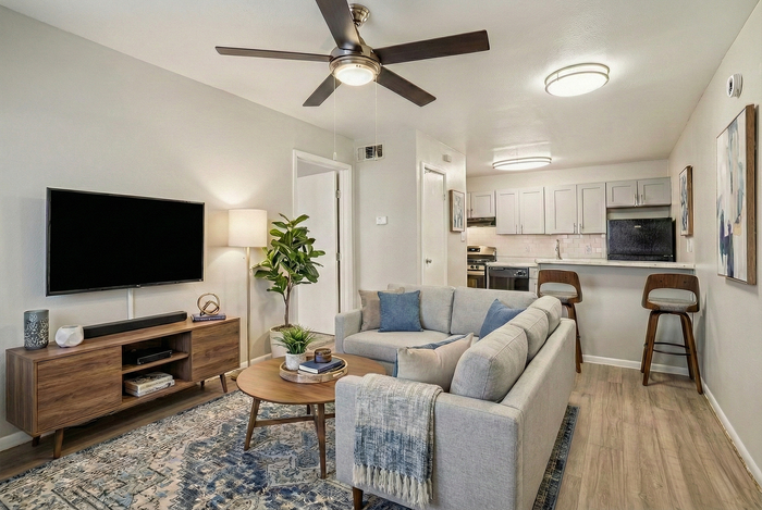Chic modern living room with cozy gray sofa, elegant wooden furniture, and an open kitchen featuring bar stools, perfect for stylish apartment living.