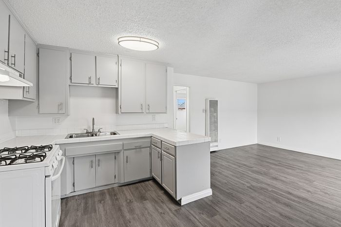 Bright, modern kitchen with sleek cabinetry and open living space featuring elegant hardwood flooring.