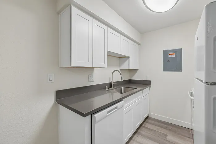 Modern kitchen with sleek white cabinetry, stylish dark countertops, and stainless steel appliances in a bright, compact space.