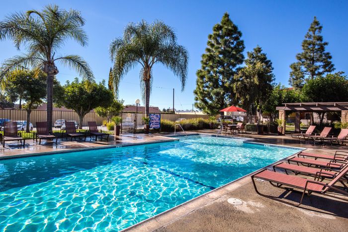 pool and lounge area