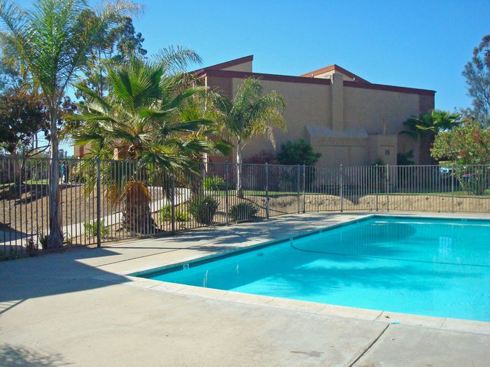 Swimming pool and lounge area