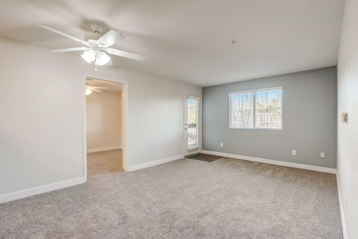 large room with plush carpeting