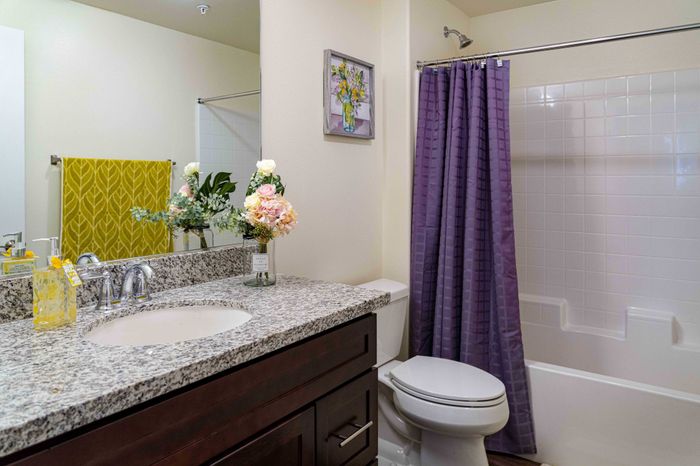 bathroom with shower-tub combo at Turtle Creek apartments
