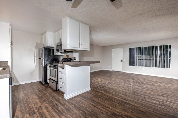 Spacious Living Room and Kitchen