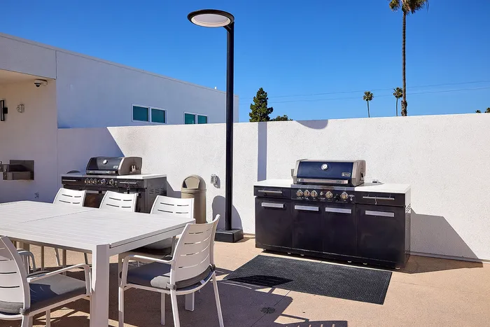 Resident grilling and picnic area on rooftop deck