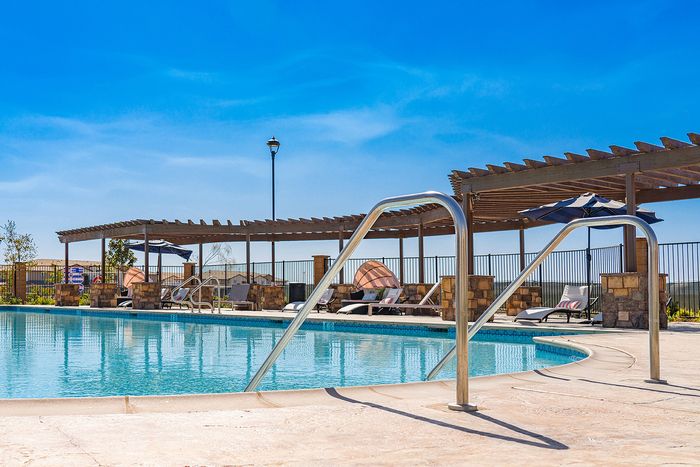 pool and lounge chairs at Grapevine Villa