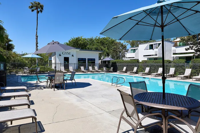 pool and lounge chairs