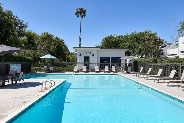 pool and lounge chairs