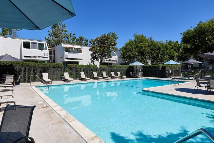 pool and lounge chairs