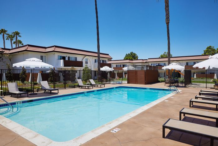 resort-style pool and lounge area