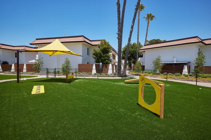 new obstacle course dog park