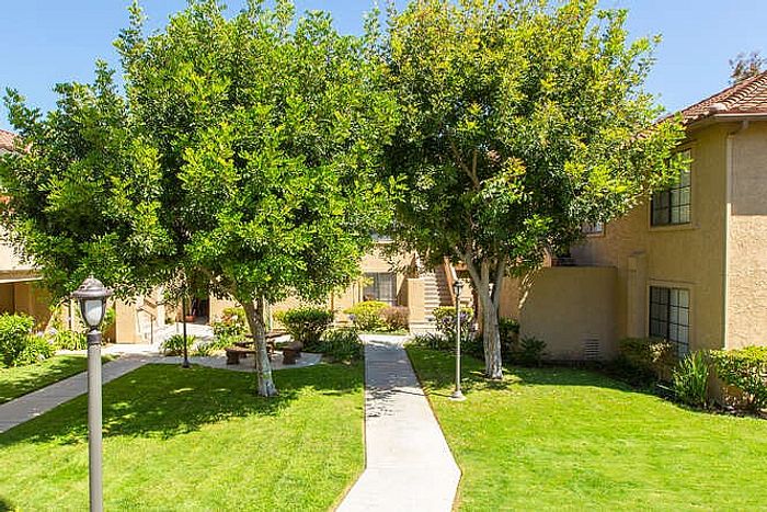 A sunny courtyard featuring lush green grass, walking paths, and large leafy trees between apartment buildings.