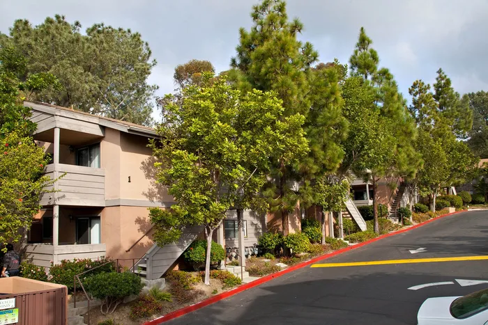 Street-side view of multi-level apartment homes and lush trees.
