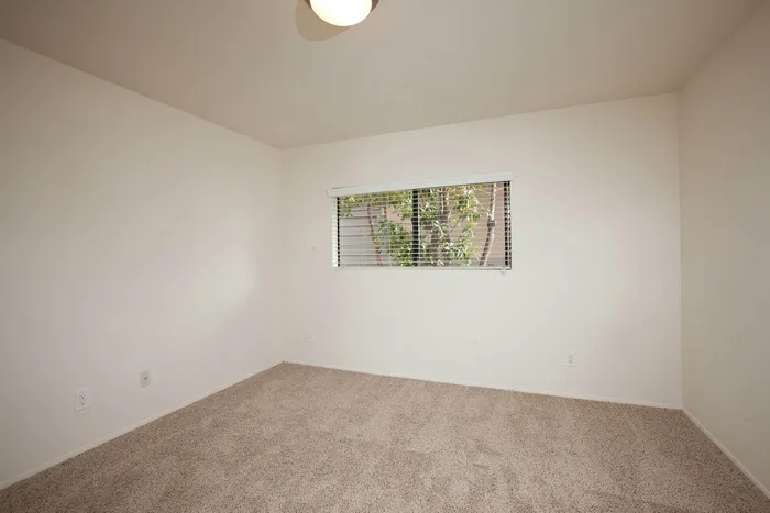 Spacious bedroom with high ceilings and neutral-toned plush carpeting.