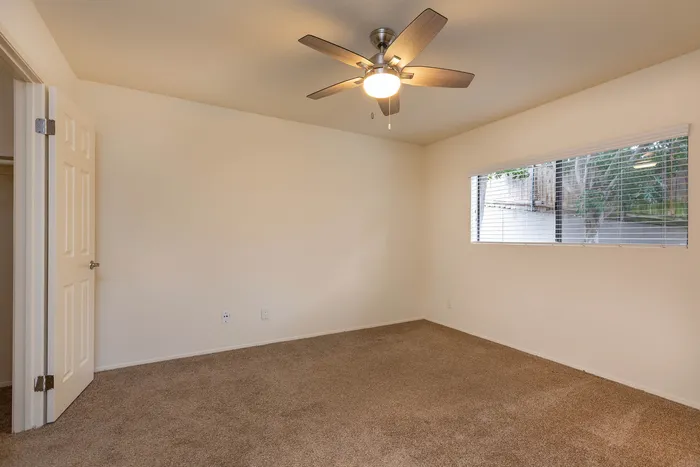 Bright bedroom featuring a ceiling fan, plush carpet, and a large window.