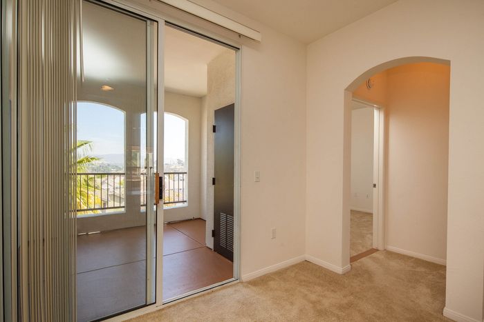 Sun-drenched apartment interior showing a transition between plush carpeting and wood-style flooring with a view of the balcony.