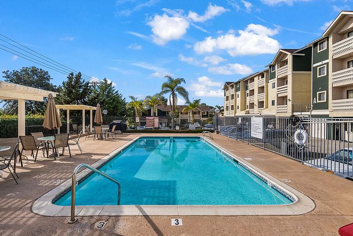 A sun-soaked, sparkling heated swimming pool surrounded by lounge seating and community buildings.