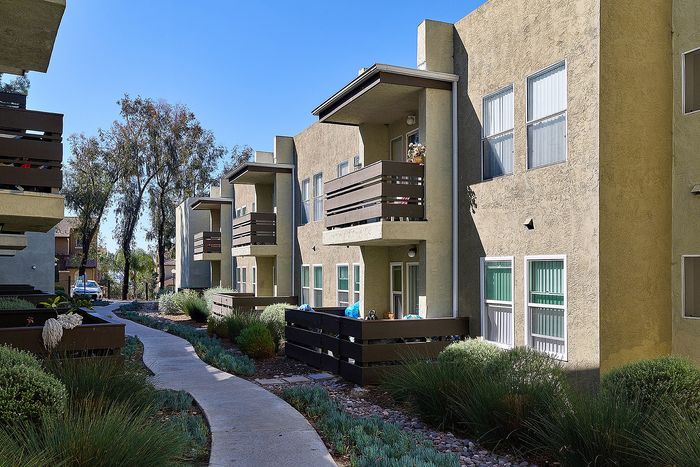 Pathway showing apartments and succulents