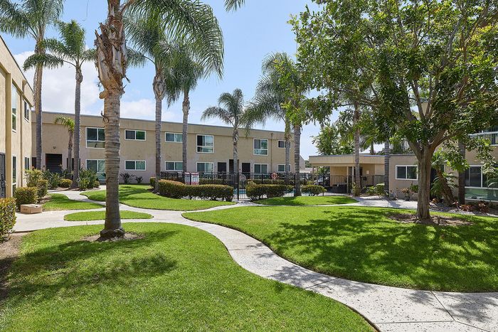 Courtyard at Pine Vista with grass, palm trees