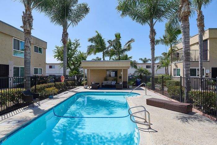 Pool at pine Vista with palm trees