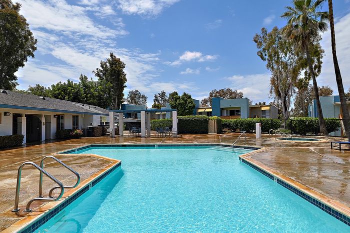 Swimming pool with palm trees and blue sky.