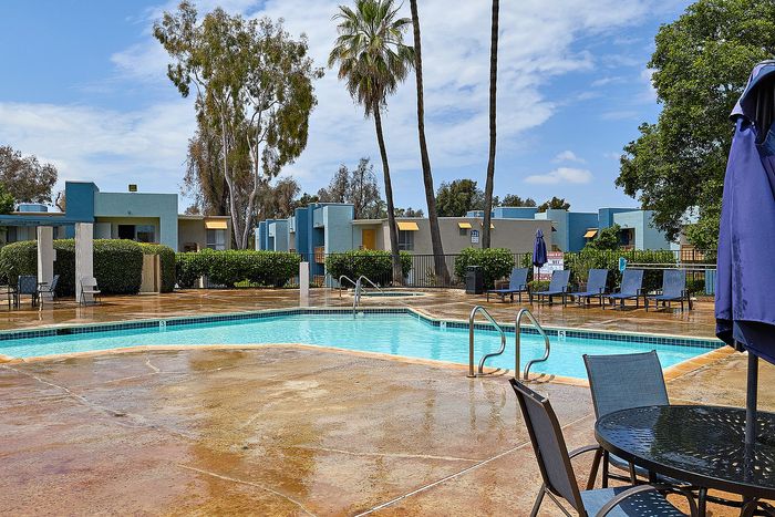 Swimming pool with palm trees, chairs, tables, and blue sky.