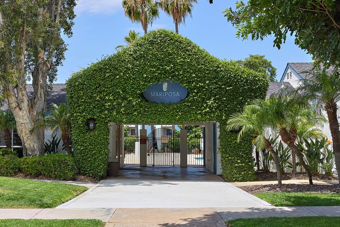 Entrance with signage, leaves, and palm trees.