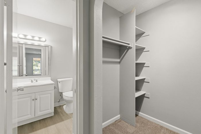 Closet with bathroom with sink, toilet, and mirror.