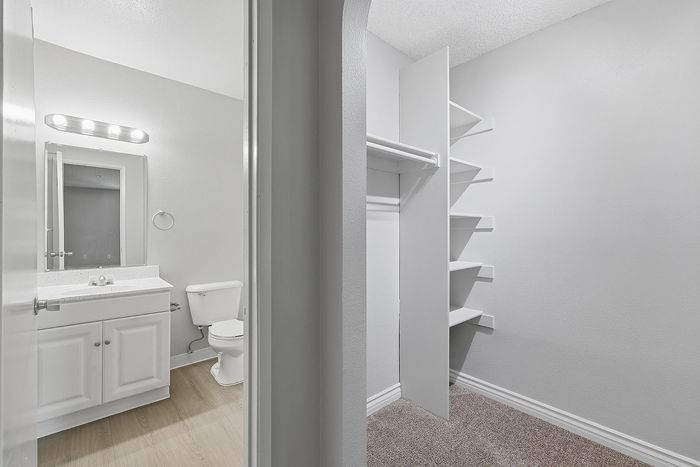 Unstaged closet and bathroom with mirror, toilet, sink, and storage.