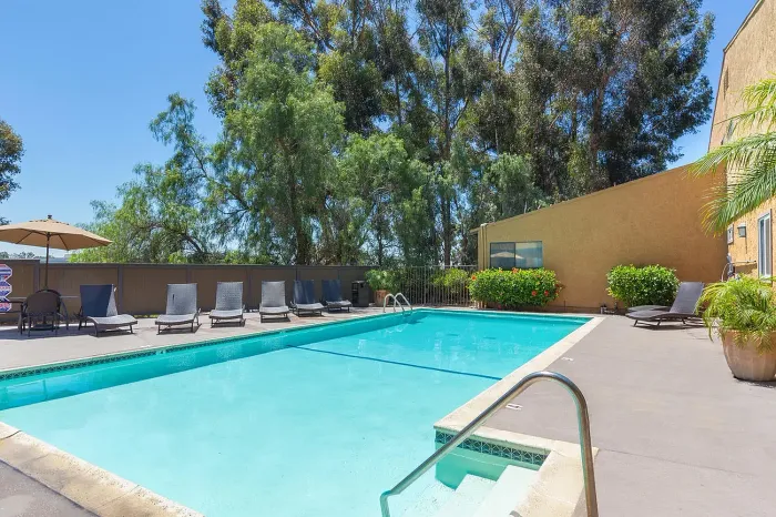 Sunny community swimming pool and sun deck at Elan - Scripps Terrace.