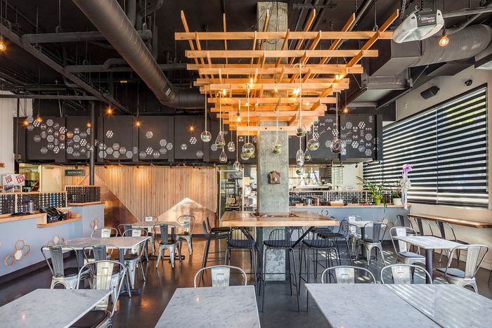 Sleek and elegant restaurant with designer lighting at Elan - Luxo II.