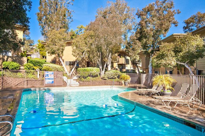 Sparkling swimming pool and sun deck with lounge chairs at Elan - Solana Pointe.