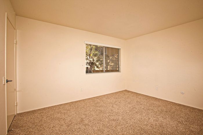 Sunlit bedroom with plush carpeting and neutral walls at Elan - Solana Pointe.