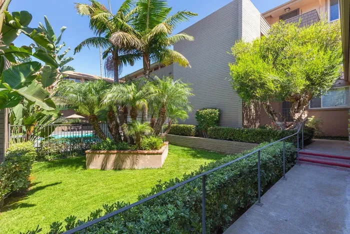 Lushly landscaped courtyard with palm trees and green grass at Elan - Baylofts
