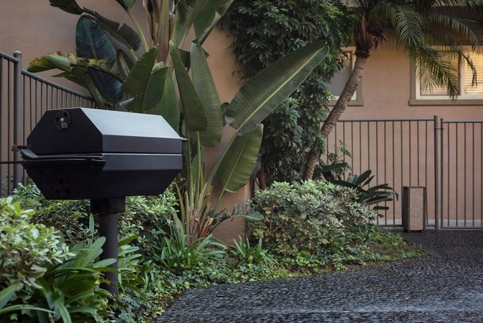 Outdoor BBQ and picnic area with tropical landscaping at Elan - Baylofts