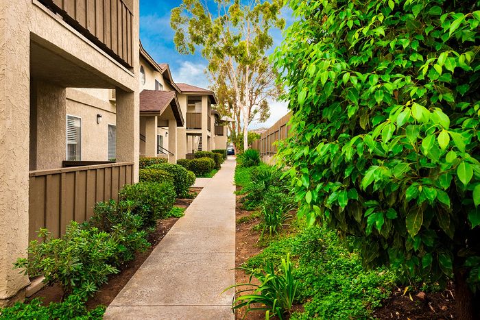 Landscaped residential path with lush greenery and trees at Elan - poway hills.