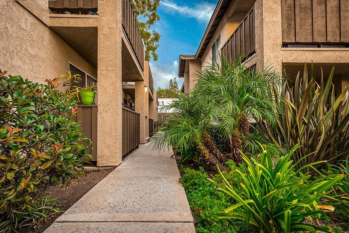 Tropical garden walkway between buildings at Elan - poway hills.