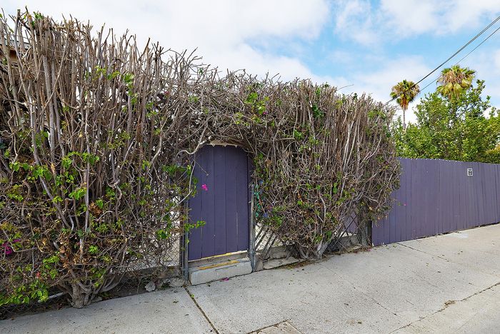 Fence and gate for property with bush
