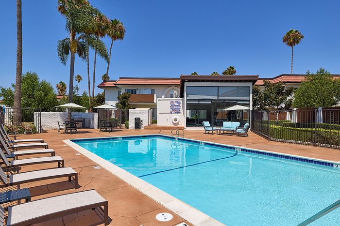 swimming pool with seating and palm trees