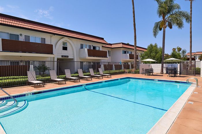 swimming pool with seating and palm trees