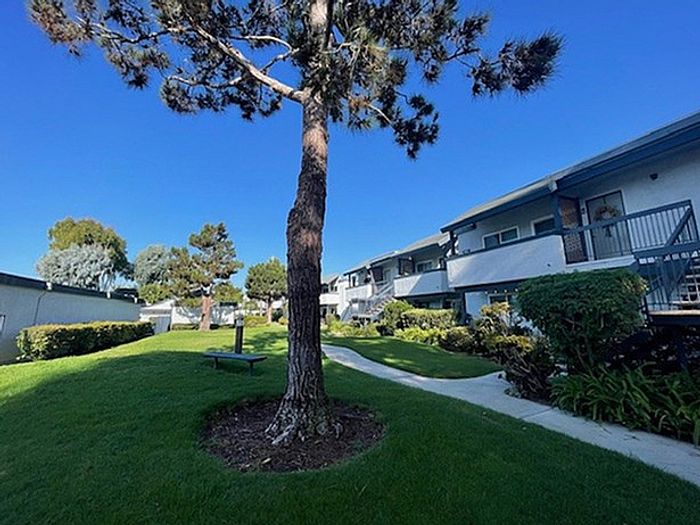 Landscaped courtyard with tall palm tree, lawn, and walkway at Delaware Pines Apartments.