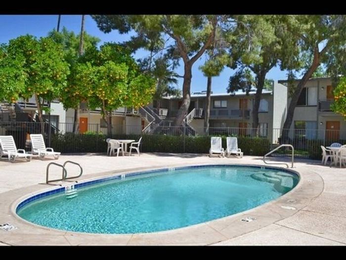pool with lounge chairs at Solaris on University