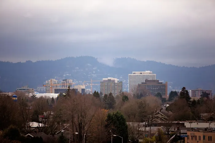 View of Portland from Laurel42