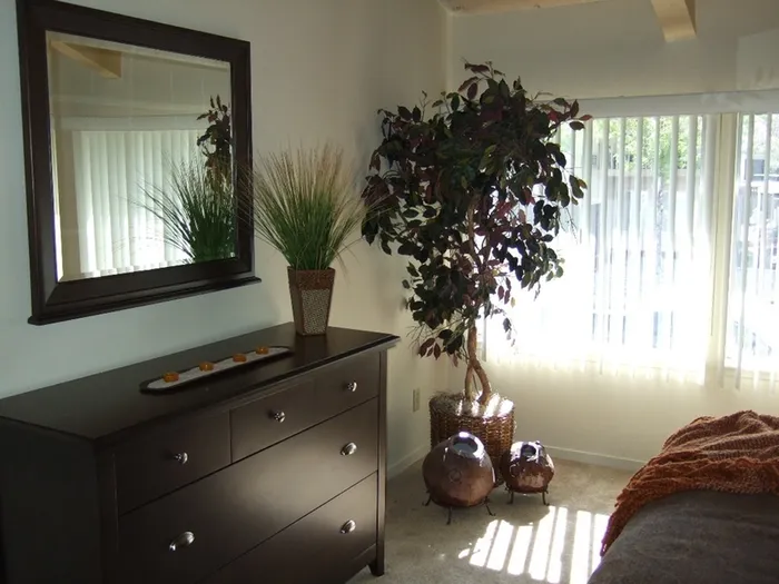 bedroom with dresser and mirror on the wall and decorative plant in the corner near window at plumas garden apartments