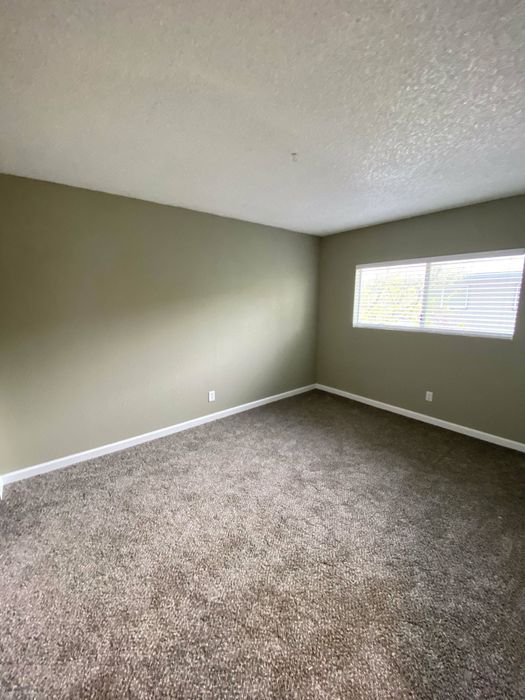 bedroom with brown carpet and green walls at the creek at south carson