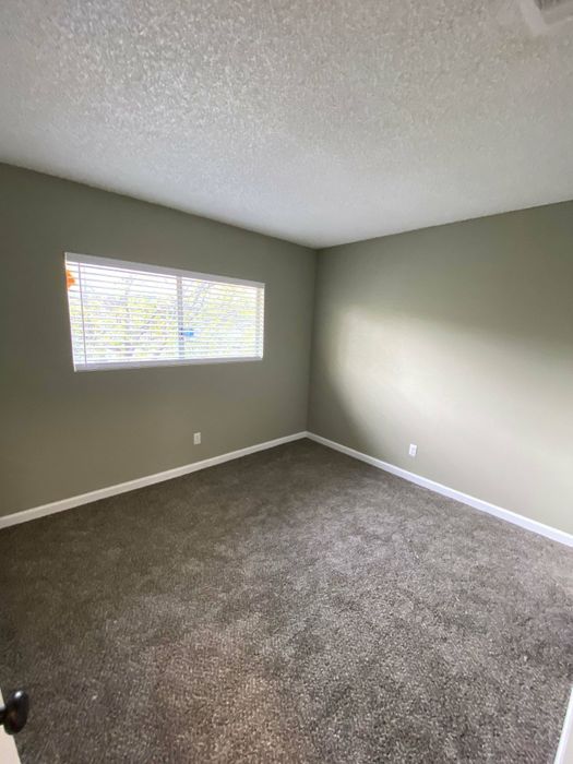 bedroom with brown carpet and green walls at the creek at south carson