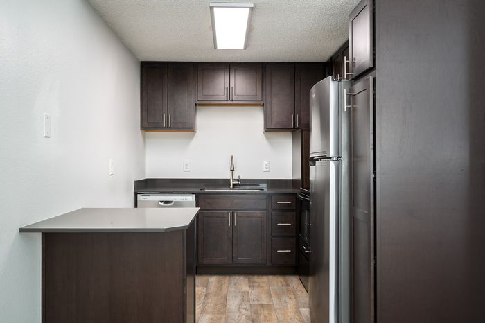 Kitchen with stainless steel appliances and Vinyl Wood Like Flooring