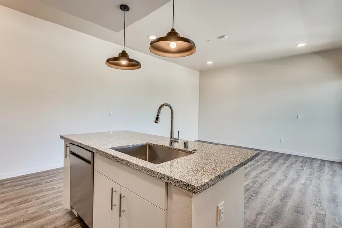kitchen and living room with wood like flooring at oner midtown